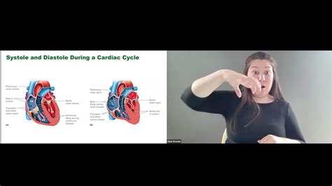 Biology in Motion: The Cardiovascular System in ASL – 2axend Hub