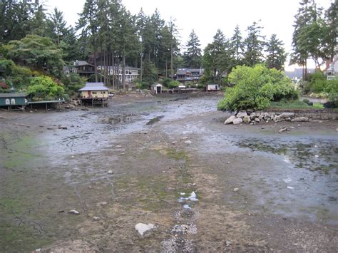 Lake Oswego Oregon "Lake Blog": Lake Oswego Oregon, Day 11 of Lake Draw ...