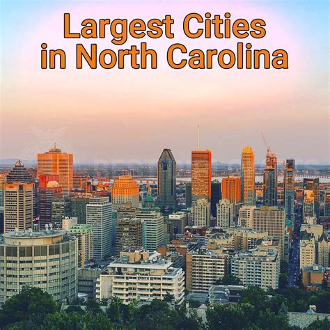 Largest Cities In North Carolina North Carolina Contour Map In Adobe