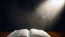 Image result for Bible of JavaScript
