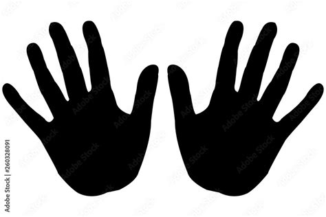 Image result for 5 Computer Programs