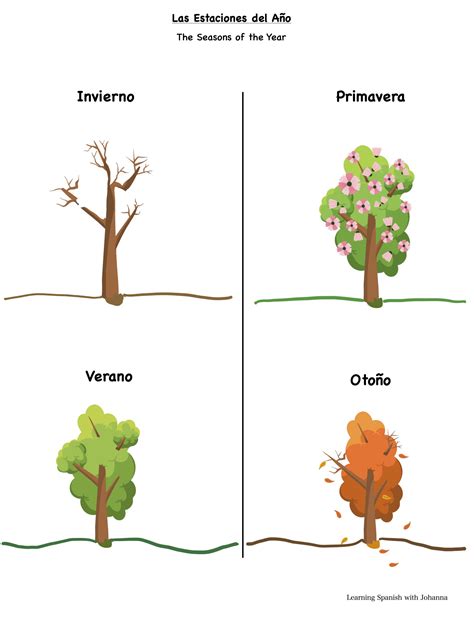 Seasons In Spanish Worksheet
