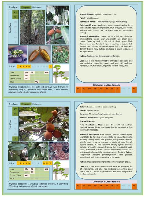 FOREST TREES OF CENTRAL WESTERN GHATS