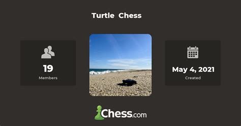Python Turtle Chess 的图像结果
