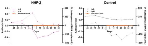 Pathogens | Special Issue : Orientia tsutsugamushi Infection