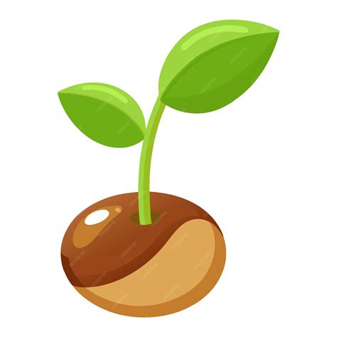 Seed Growing Cartoon 的图像结果