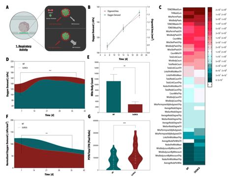 O2 Sensor Working Principle 的图像结果