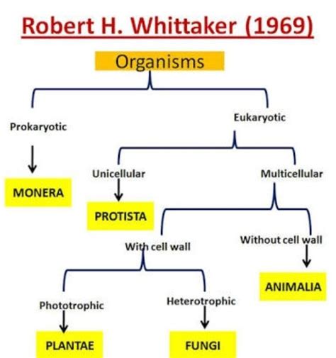 Whittaker method of classification of microbes - Brainly.in