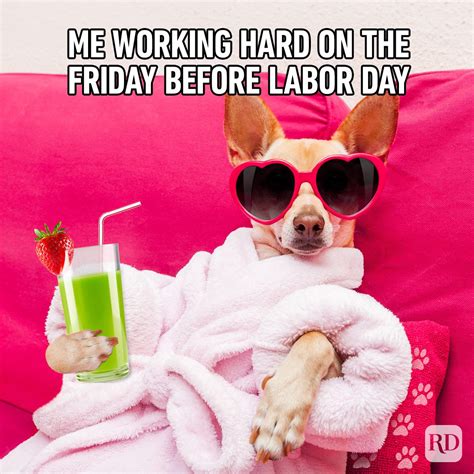 Labor Day Weekend Memes Labor Day Weekend Memes – Latest News