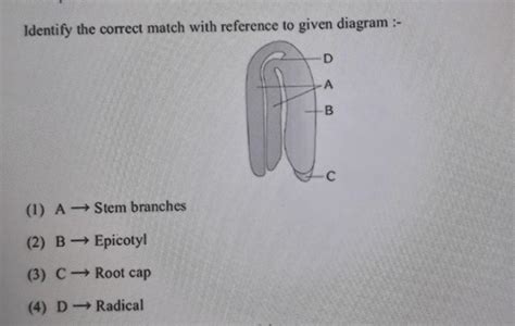 Identify the correct match with reference to given diagram:- (1) A Stem ...