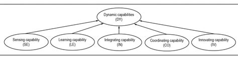 Image result for Dynamic Capabilities Examples