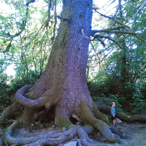 Moonshine Park Camping | Logsden, Oregon