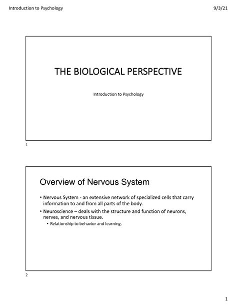Biological Perspective Examples 的图像结果