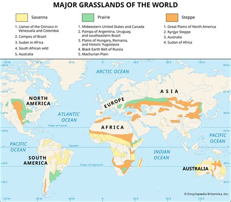 Tropical Grassland Biome Map
