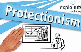 Image result for protectionist
