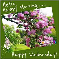 Image result for Good Morning Wednesday Spring