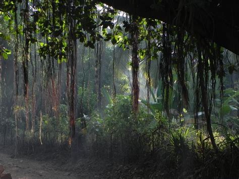 Kelshi Beach (Dapoli) - 2019 What to Know Before You Go (with Photos ...