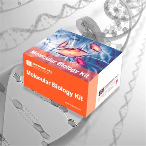 Image result for Molecular Biology Lab Kit
