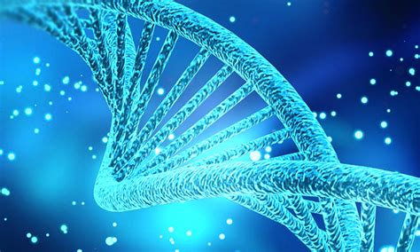 Image result for Genetics Algorithm Define