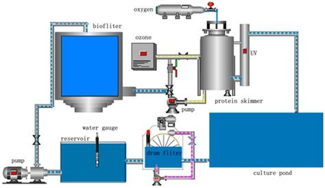Retrofitting Sea Cucumber Nursery Tanks to Recirculating Aquaculture ...