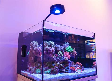 Nano Cube Tanks - Reef Casa