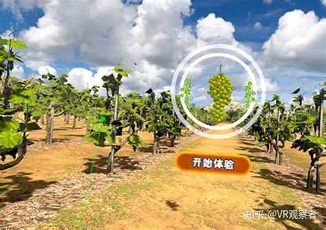Vr农业 的图像结果