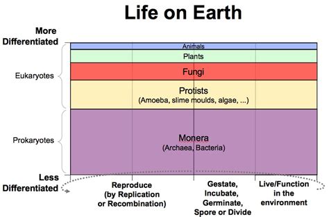 Bussiness Cycles 图 的图像结果