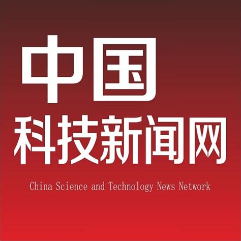 候鸟迁飞舞动命运与共——中国生态文明实践观察 - 科技新闻传播 科技知识普及