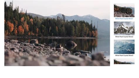 Slick Slider Example CodePen 的图像结果