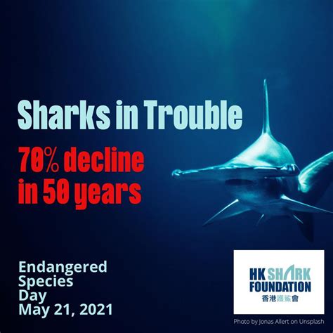 Endangered Species Day - Hong Kong Shark Foundation