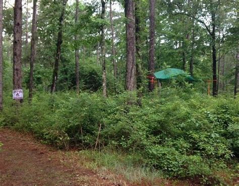 ESCAPE THE PAVEMENT (2026) All You Need to Know BEFORE You Go (w ...