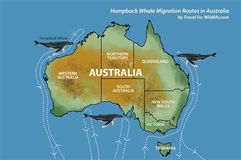 Migration Of Australia