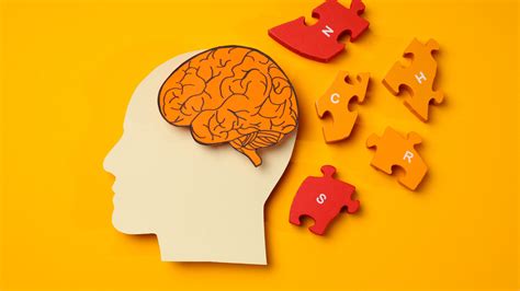 Image result for Prefrontal Cortex Addicted Brain