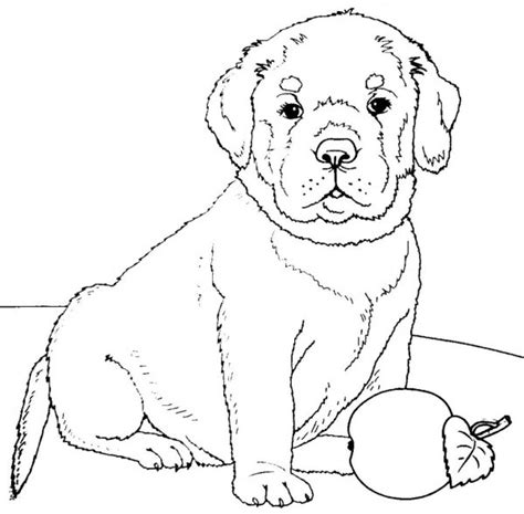 Рисунки раскраски татарский национальный костюм (43 фото) » Рисунки для ...