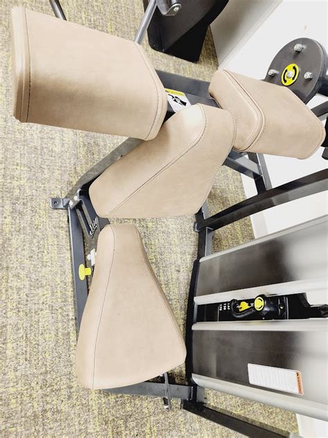 Image result for Cybex Arm Curl Machine