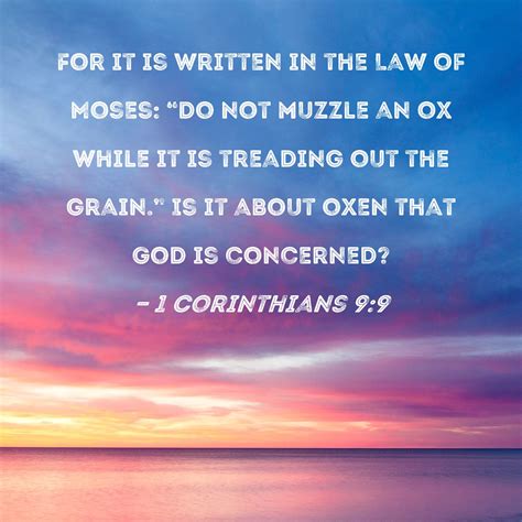 1 Corinthians 9:9 For it is written in the Law of Moses: "Do not muzzle ...
