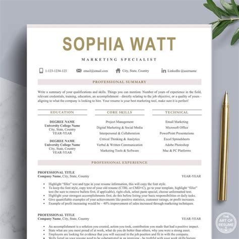 Resume 的图像结果