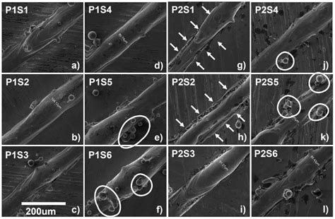 Full-Field Mapping and Flow Quantification of Melt Pool Dynamics in ...