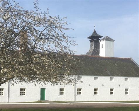 Skyline Trampoline Park (Inverurie) - All You Need to Know BEFORE You Go