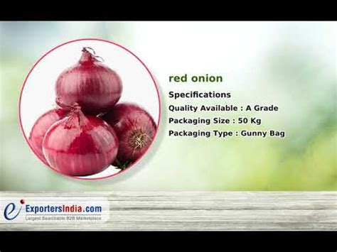 Nashik Agro Traders, Shallot Onion and Red Onion Supplier from Nashik