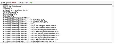 OS Glob Python 的图像结果