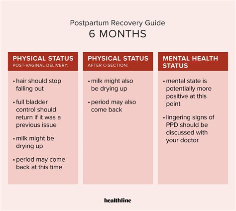 6 Weeks Post Partum Body