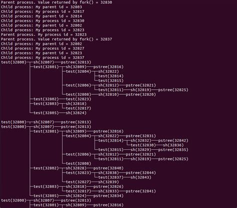 Image result for Linux Process Fork Example