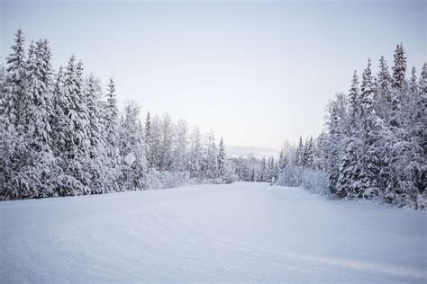 Winter background images for zoom - lilycertified