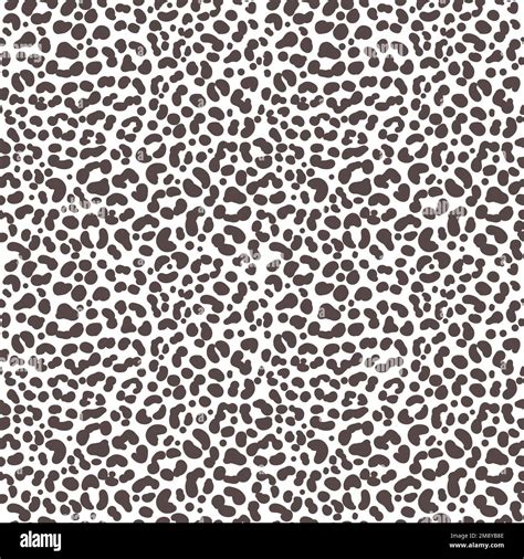 Cheetah Print Black And White Pattern 81,615 Black White Leopard