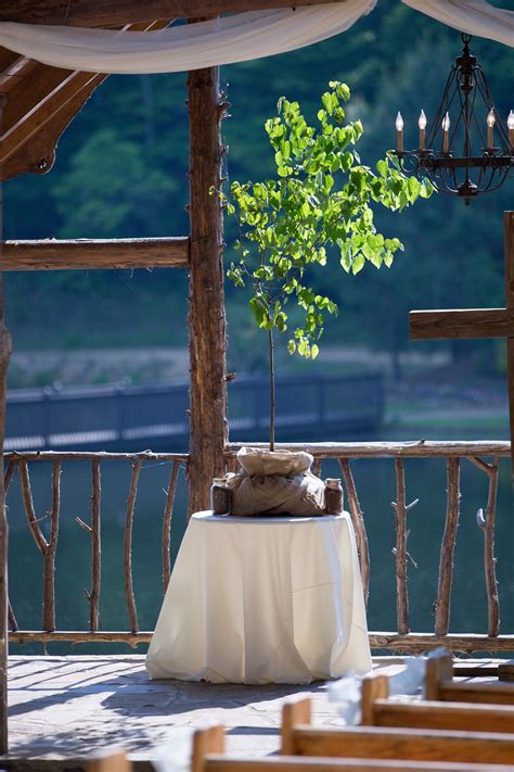 Image result for Unity Tree-Planting Wedding Ceremony