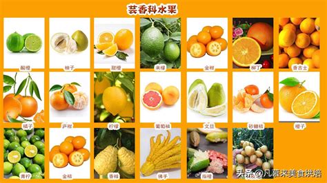 2017最新水果店起名大全_公司起名 - 美名腾智能起名网
