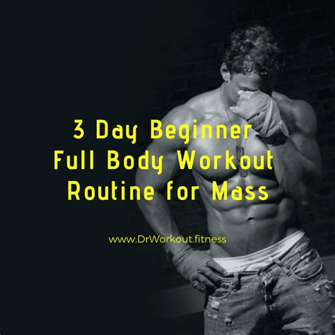 Image result for Daily Workout Routine for Beginners