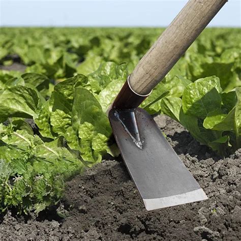 Cetilox Outdoor Hoe Garden Tool -Garden Hula Hoes for Weeding Gardening ...