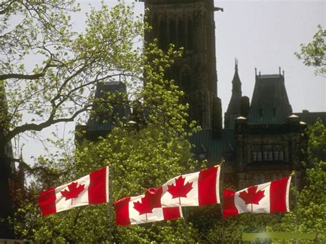 留学加拿大如何选择专业以及学校 - 威久留学